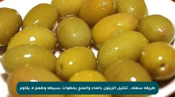 طريقة سهلة.. تخليل الزيتون بالماء والملح بخطوات بسيطة وطعم لا يقاوم